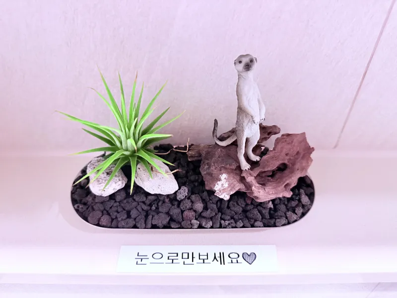 [Suyeong, Busan][Gwangalli Beach Ocean View] Gwangan Signature 13 28