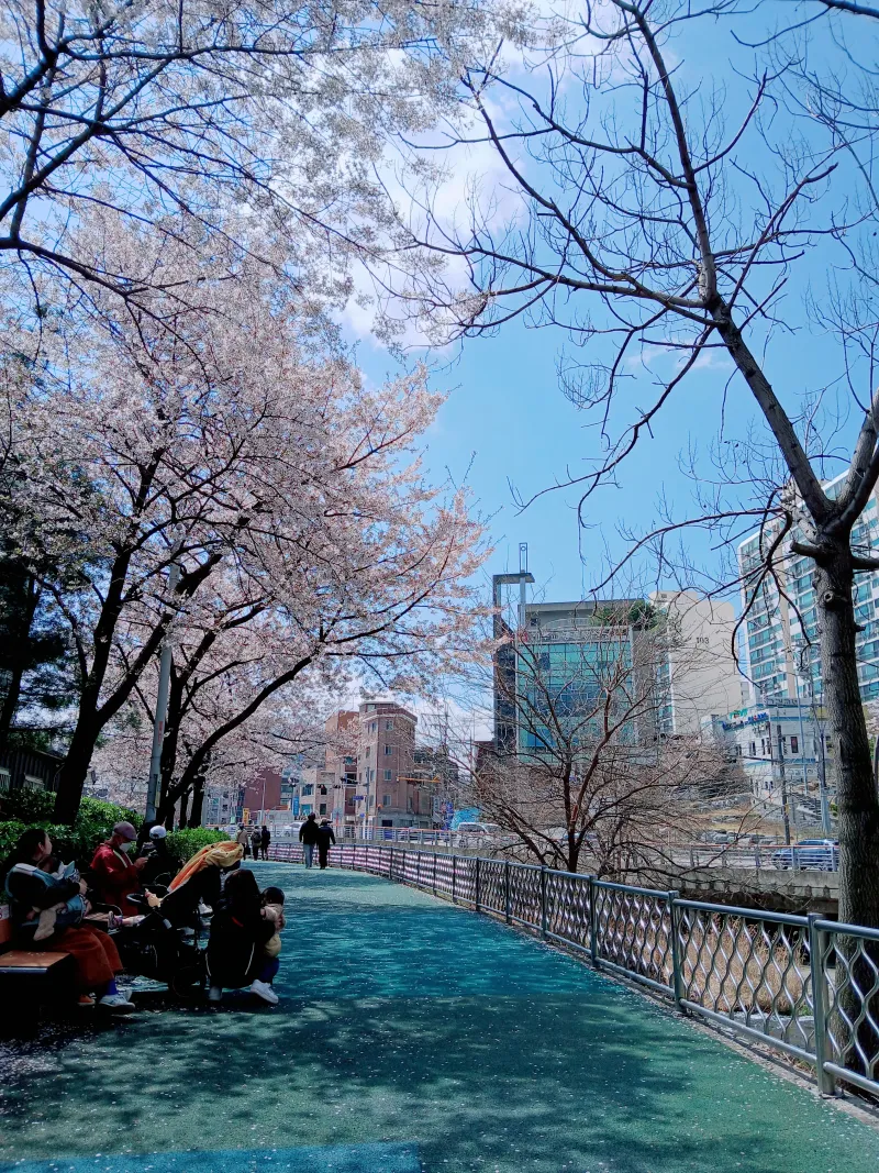 [Seodaemun, Seoul] Local accommodation, 30 minutes from Kookmin University, Sangmyung University, and Gyeongbokgung Palace, good for long stays 20