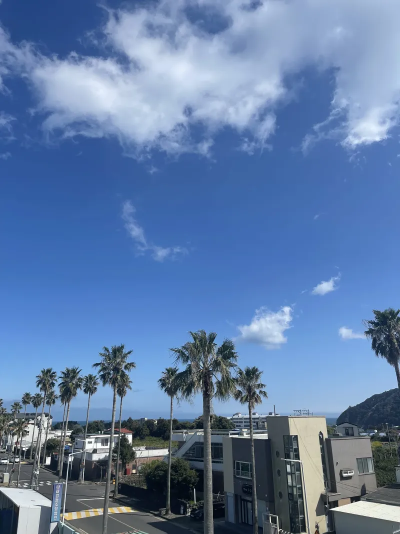 [Bomok-dong, Seogwipo] Bomok-dong is a neighborhood where the wind is not cold and the sunlight settles down warmly. 11