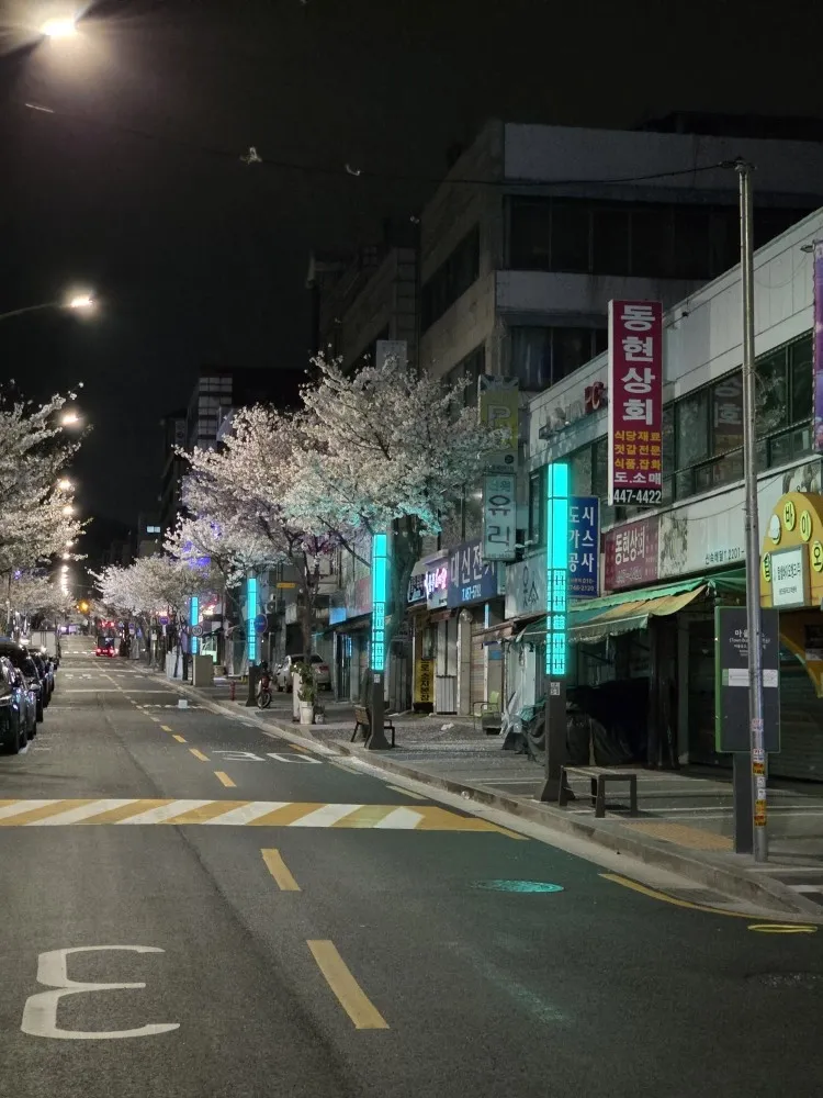 [Gwangjin, Seoul] Achasan Station 2nd Floor 3-Room Apartment with Large Terrace 33