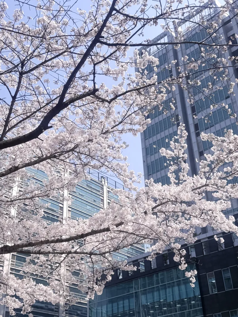 [Geumcheon, Seoul] 14th floor, 8-minute walk from Gasan Digital Complex Station 19
