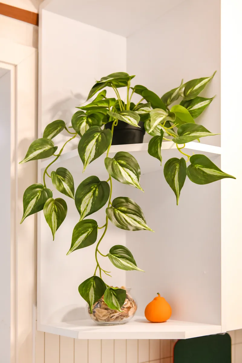 [Gangseo, Seoul] The Pure House, a two-room apartment located in a double-station area between Gimpo Airport and Magok, just a 1-minute walk away 44