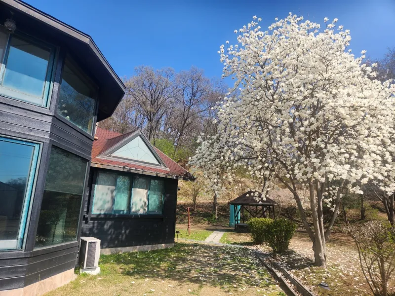 [충북 충주] 마실길11 54