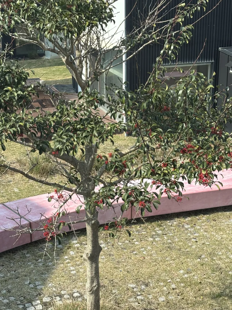 [제주 구좌] 세화해변 앞 조용한 3층 독채 숙소 #오션뷰 #욕조풀 9