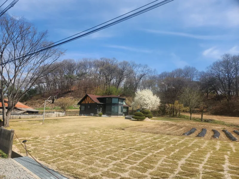 [충북 충주] 마실길11 55