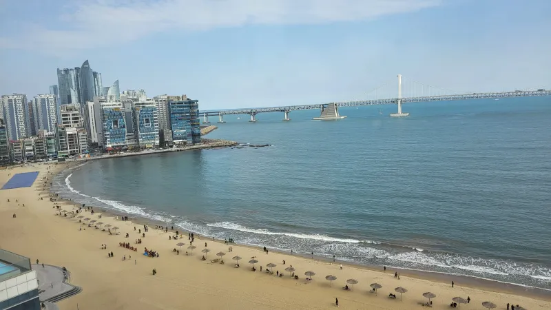 [부산 수영] 광안대교뷰 작은 갤러리 49