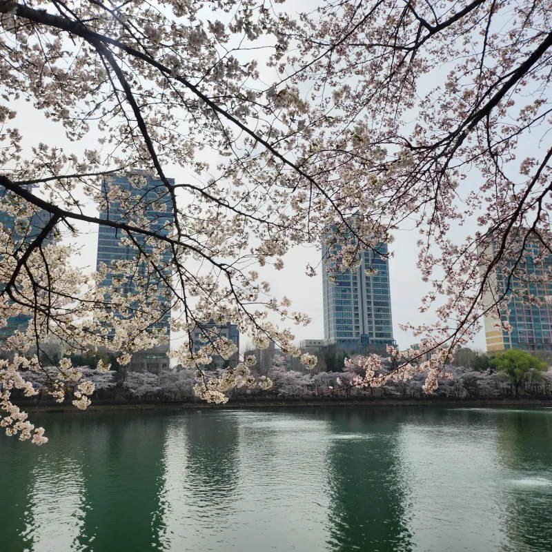 [Songpa, Seoul] Jamsil High-rise duplex with a fantastic Seokchon Lake view 34