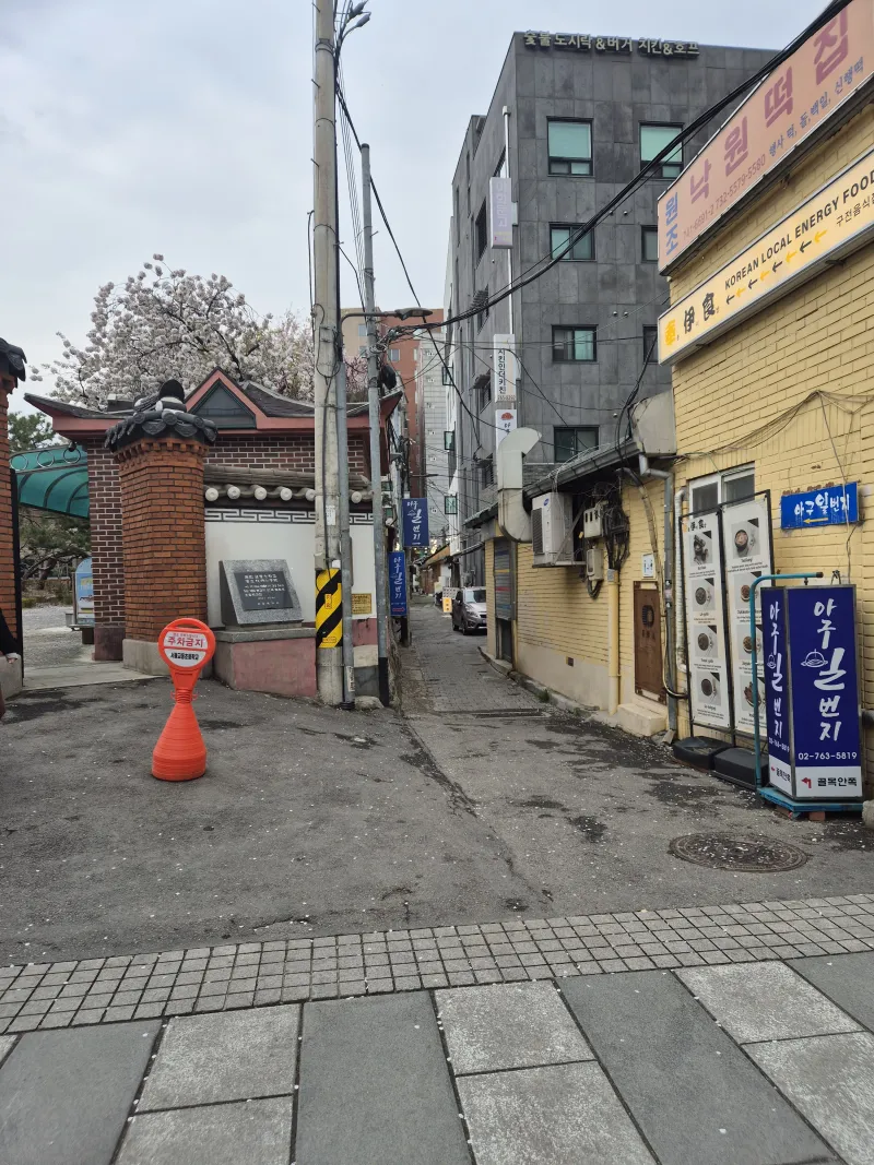 [서울 종로] 인사동/북촌 /경복궁 /광화문/DDP동대문/ 명동 남산타워 29