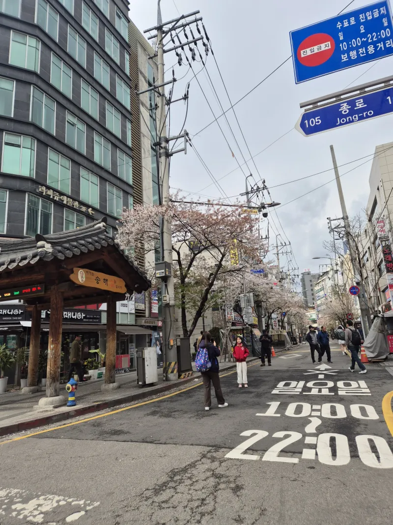 [서울 종로] 인사동/북촌 /경복궁 /광화문/DDP동대문/ 명동 남산타워 31