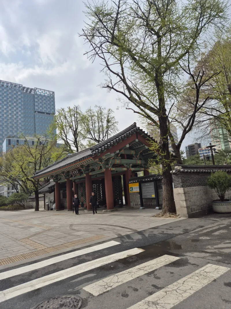 [서울 종로] 인사동/북촌 /경복궁 /광화문/DDP동대문/ 명동 남산타워 30