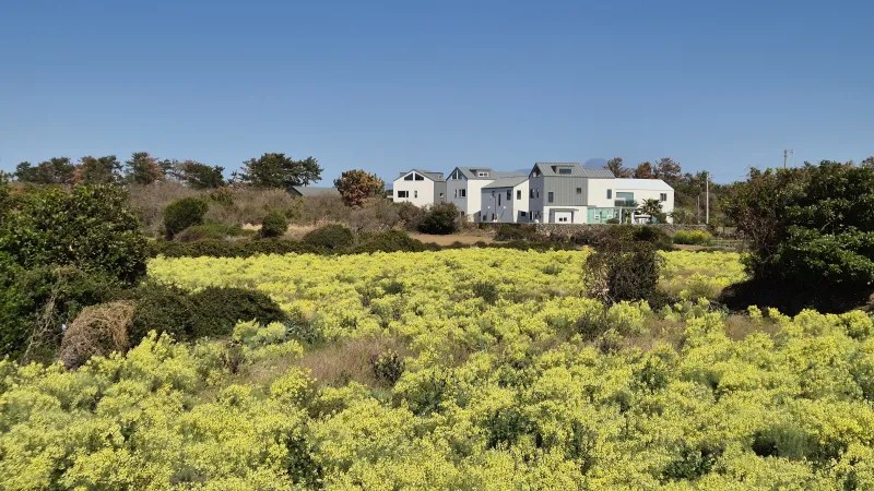 [Hangyeong, Jeju] A three-story detached house with a view of Chagwido Island and windmills. 52