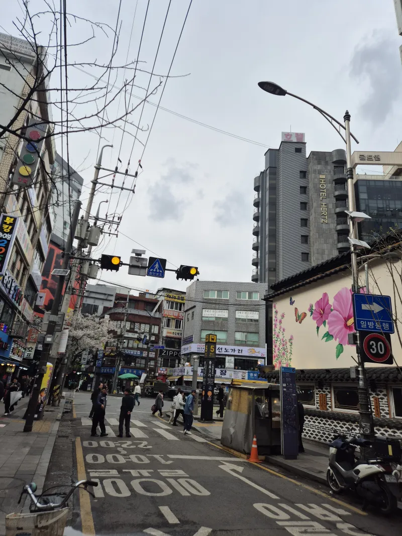 [서울 종로] 인사동/북촌 /경복궁 /광화문/DDP동대문/ 명동 남산타워 32