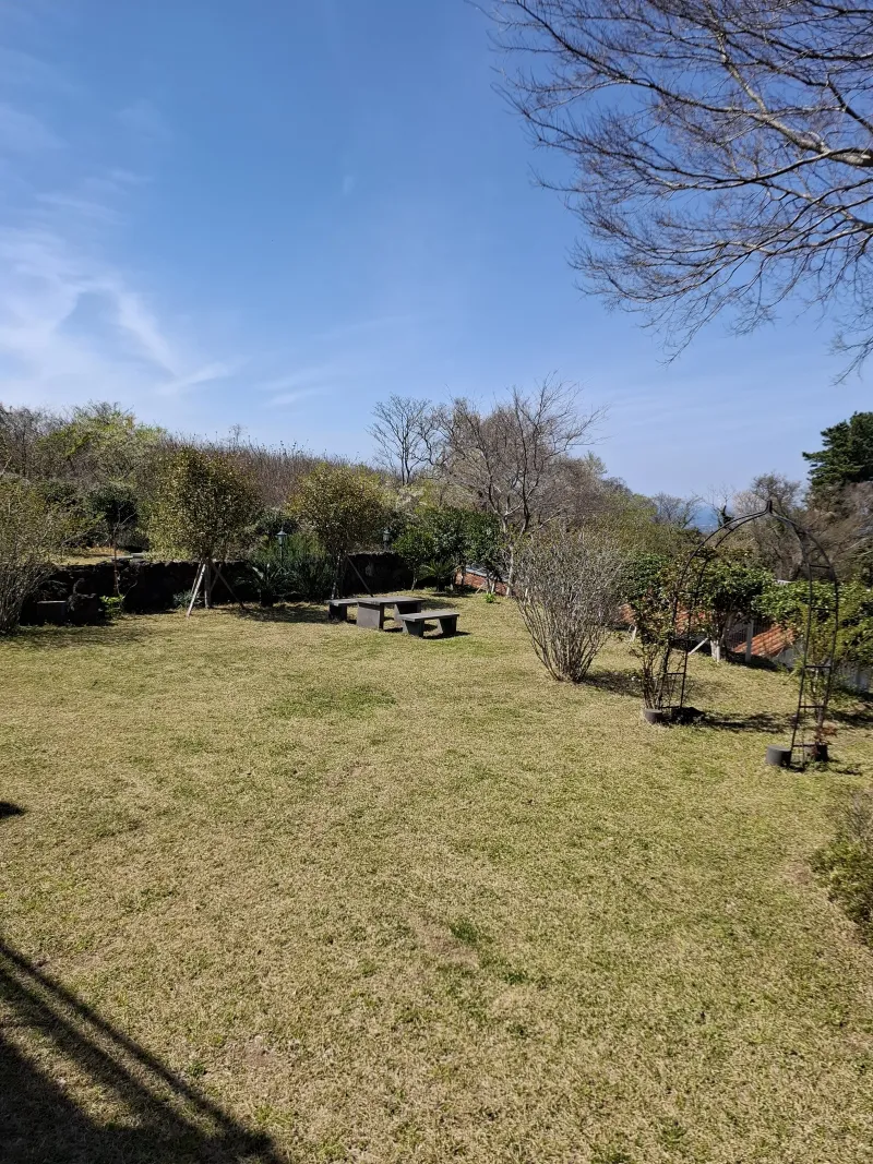 [제주 조천] 가족단위 애견동반 스테이 #바다조망 #넓은마당 21