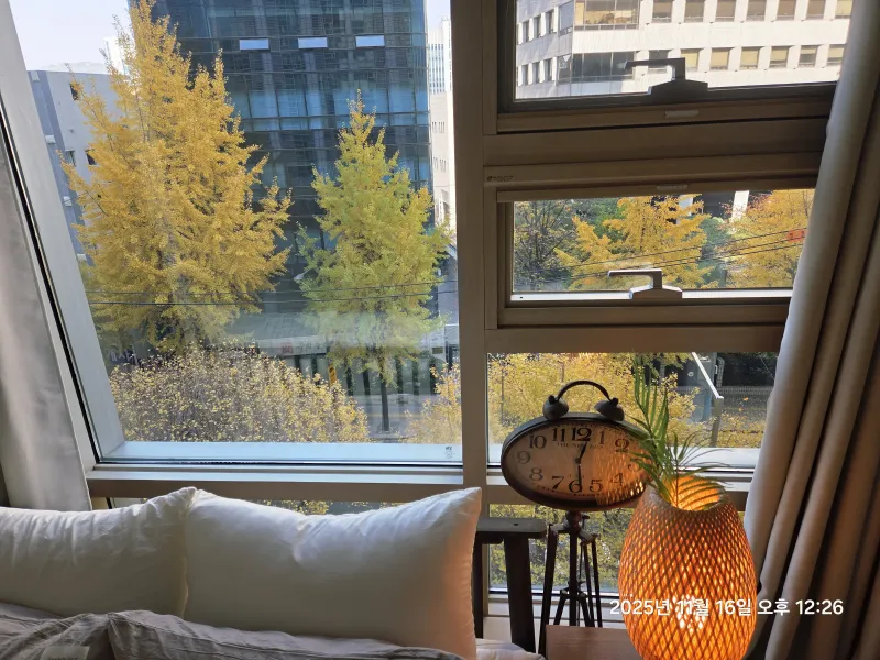 [Jongno, Seoul] 4 Dryers, within walking distance of Gyeongbokgung Palace, Gwanghwamun, City Hall, and Euljiro 15
