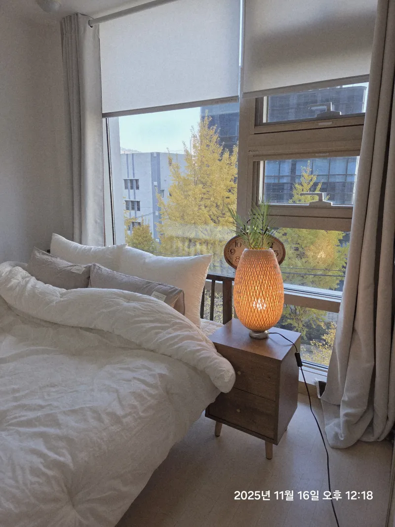 [Jongno, Seoul] 4 Dryers, within walking distance of Gyeongbokgung Palace, Gwanghwamun, City Hall, and Euljiro 17