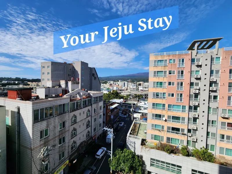 [Seogwi-dong, Seogwipo] Seogwipo Olle Daily Market Nearby/Full Options 18