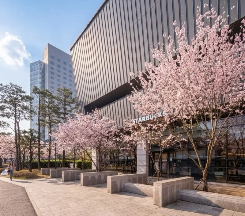 [Goyang][Ilsan KINTEX] 30th Floor, Sky View, Cinema, Healing 41