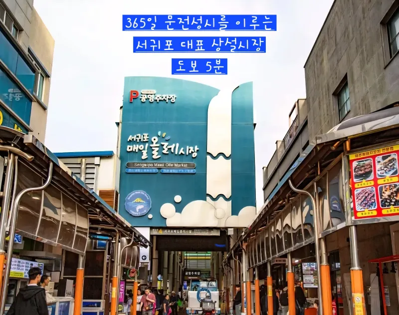 [Seogwi-dong, Seogwipo] Seogwipo Olle Daily Market Nearby/Full Options 29