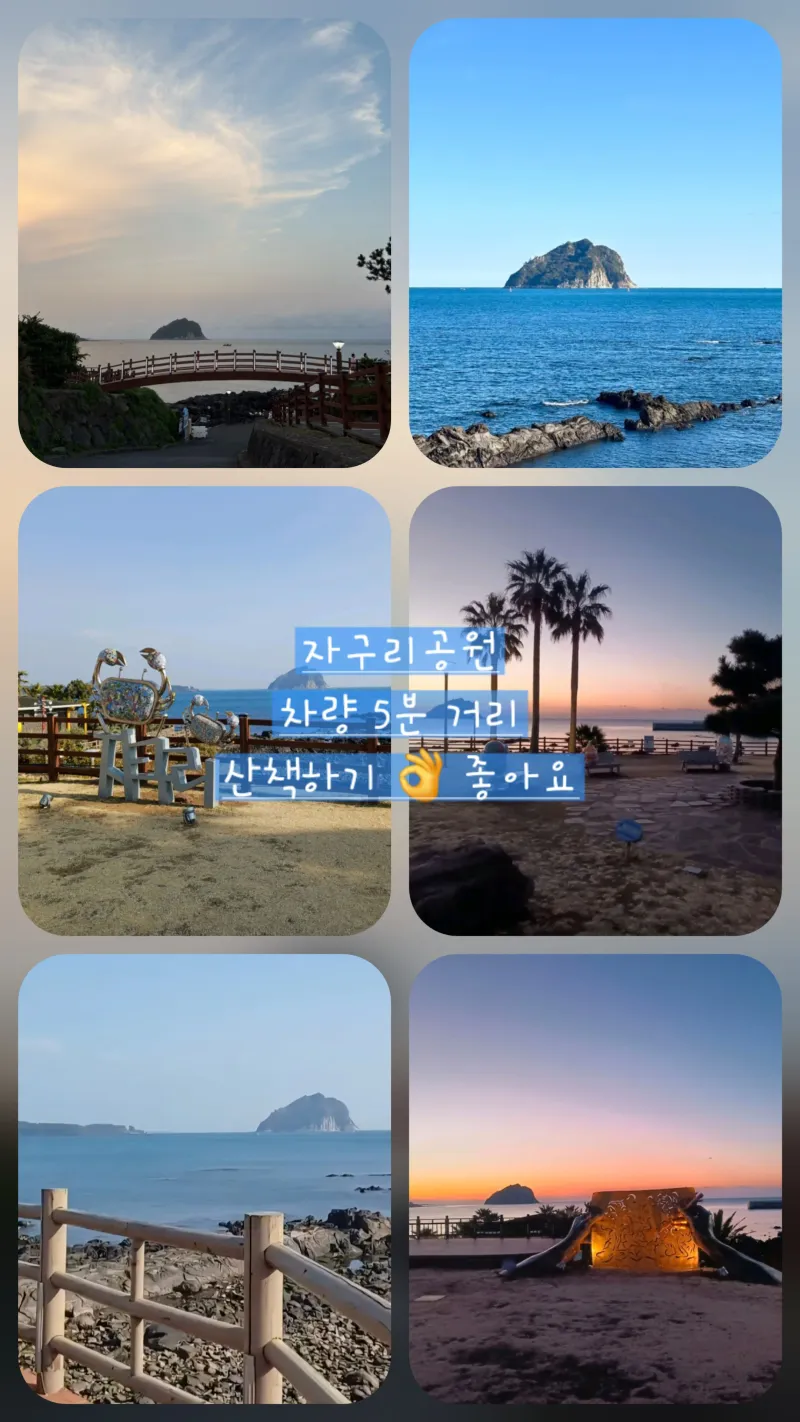 [Seogwi-dong, Seogwipo] Seogwipo Olle Daily Market Nearby/Full Options 26