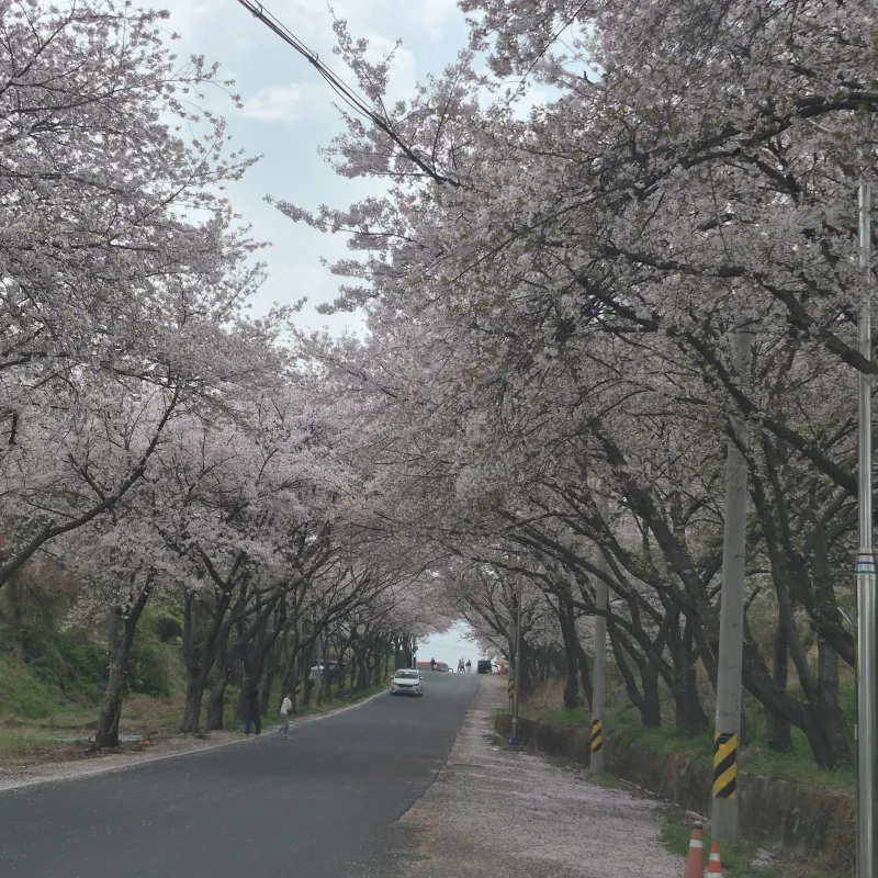 [경남 사천] 바다근처 조용한 원룸 19
