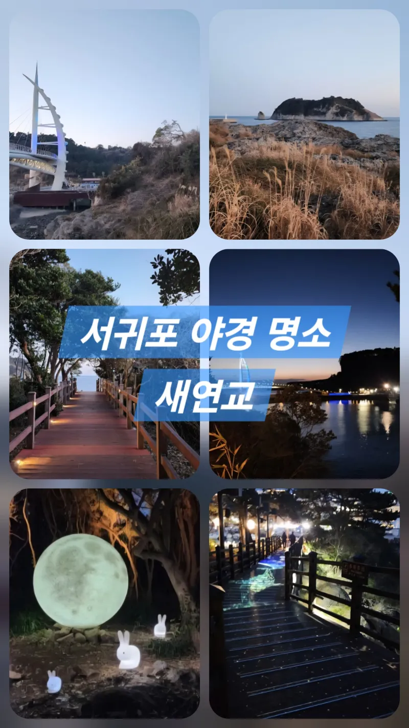 [Seogwi-dong, Seogwipo] Seogwipo Olle Daily Market Nearby/Full Options 28