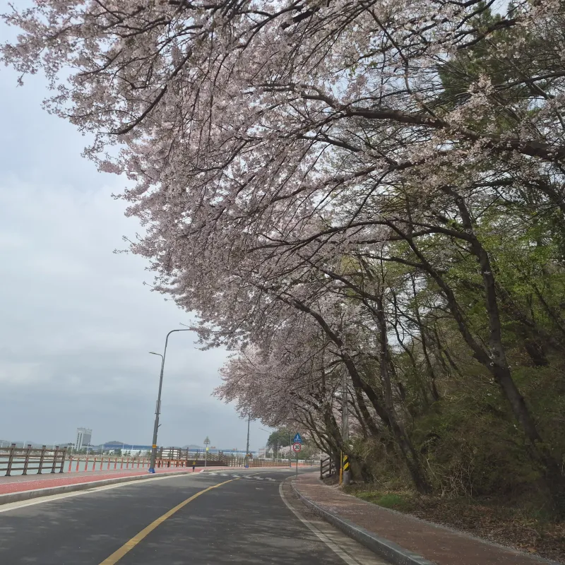 [Sacheon] Quiet studio apartment in front of the sea 20