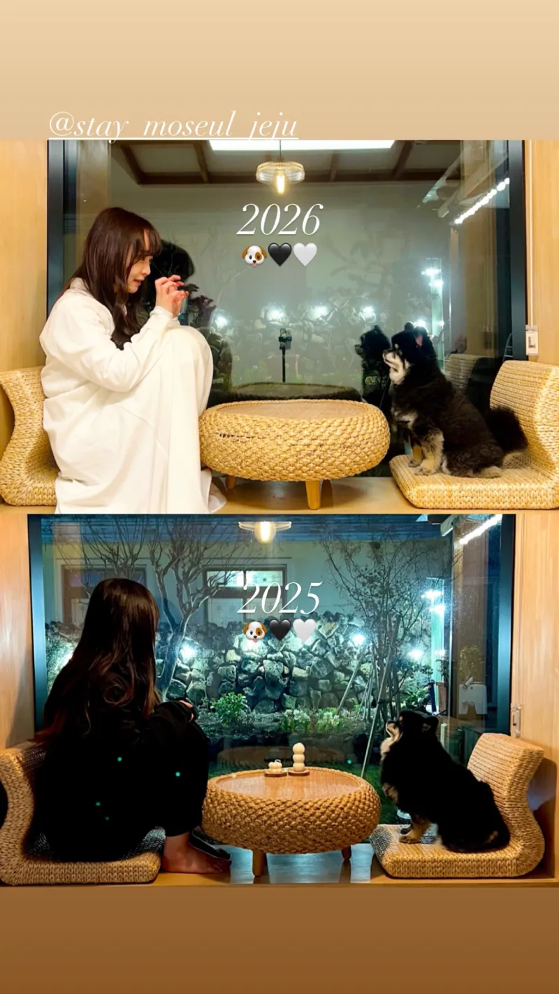 [서귀포 대정] 정원이 아름다운 프라이빗 독채 #애견동반#돌집#마당 14