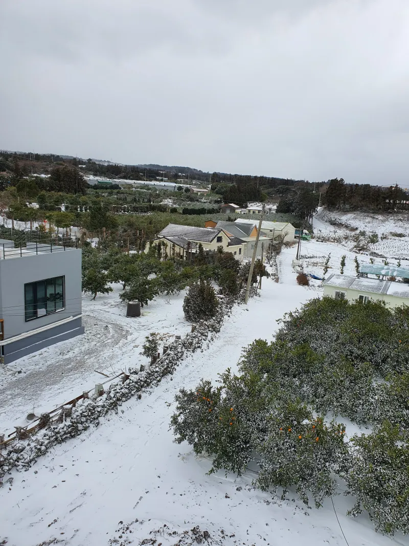 [제주 조천] 1만평 감귤정원 속 한라산을 품은 제주 힐링 2층 투룸 27