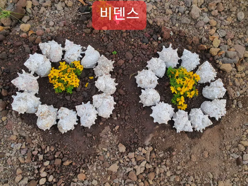 [제주 조천] 1만평 감귤정원 속 한라산을 품은 제주 힐링 2층 투룸 36