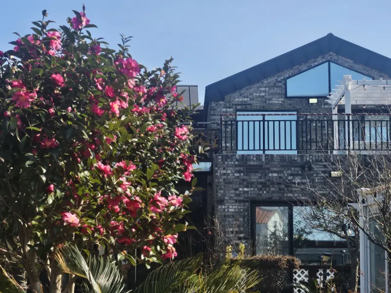 [Gujwa, Jeju] 500-pyeong Garden, Duplex, Hinoki, Fireplace, Steam Room, Barbecue #104 12