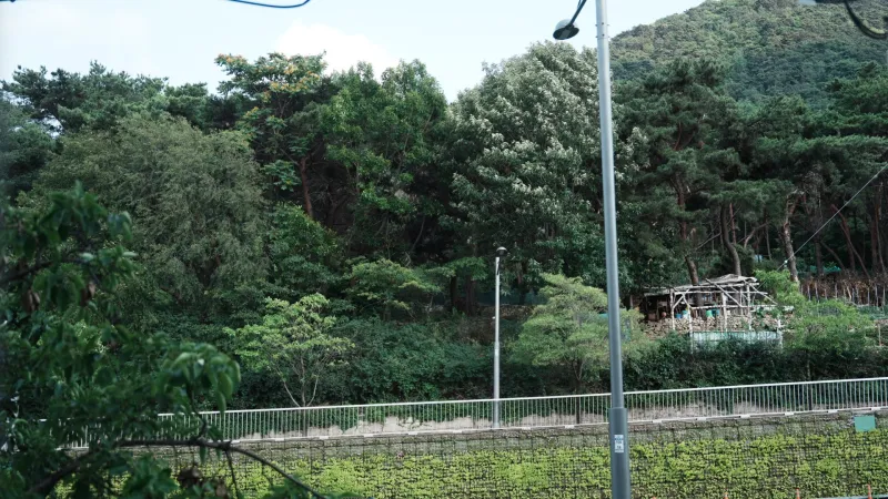 [Nam-gu, Daegu] Affordable Apartment, 2nd Floor, Detached, Fully Furnished 29