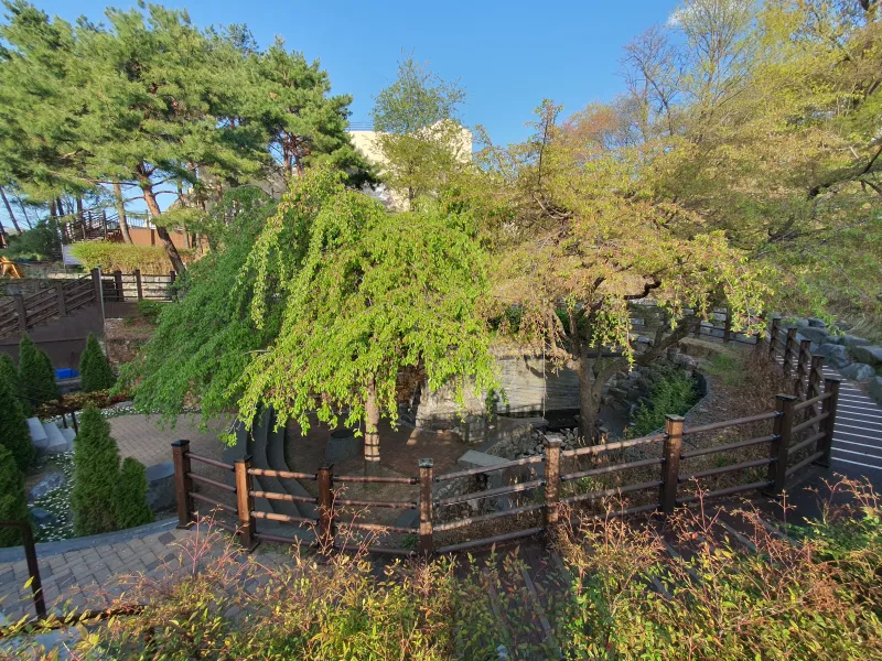 [Nam-gu, Daegu] Affordable Apartment, 2nd Floor, Detached, Fully Furnished 37
