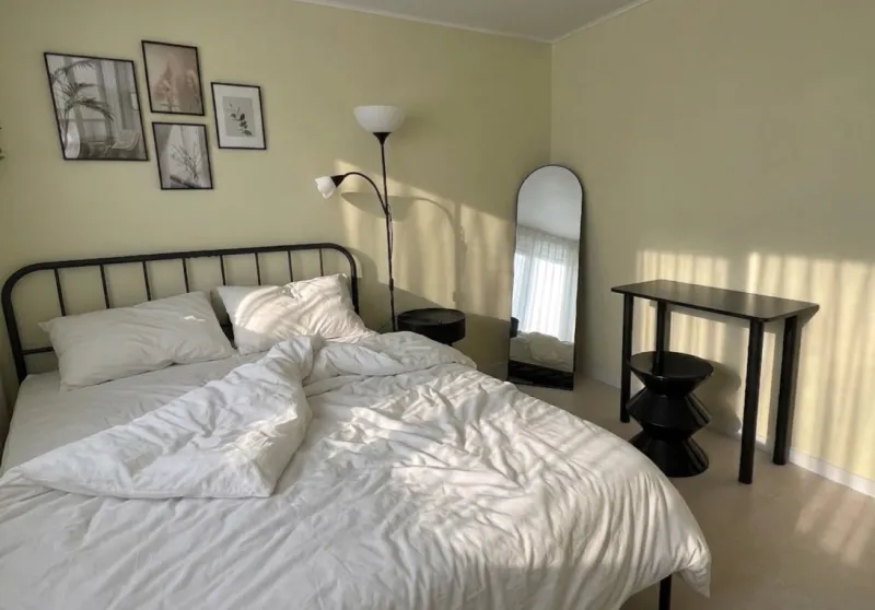[Ansan] Pretty Two-Room Apartment / 2nd Floor with Good Natural Light / Hanyang University Accommodation 2