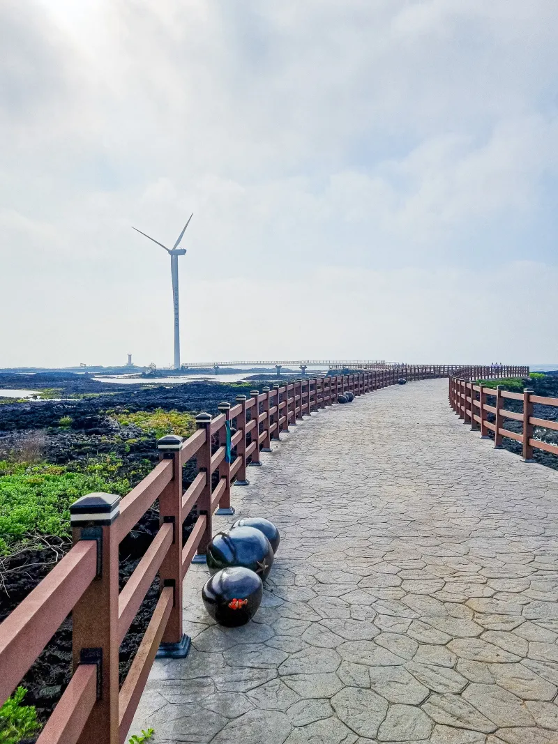 [제주 한경] 넓은 단독 정원이 있는 조용한 독채펜션 #프라이빗 #바베큐 32