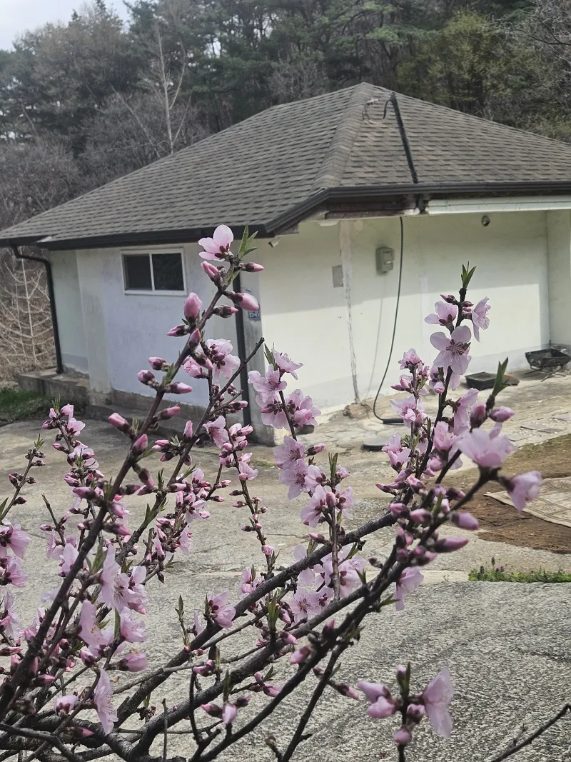 [충남 청양] 산속의 독채 촌캉스 #애견가능#오서산#보령#숲세권 28