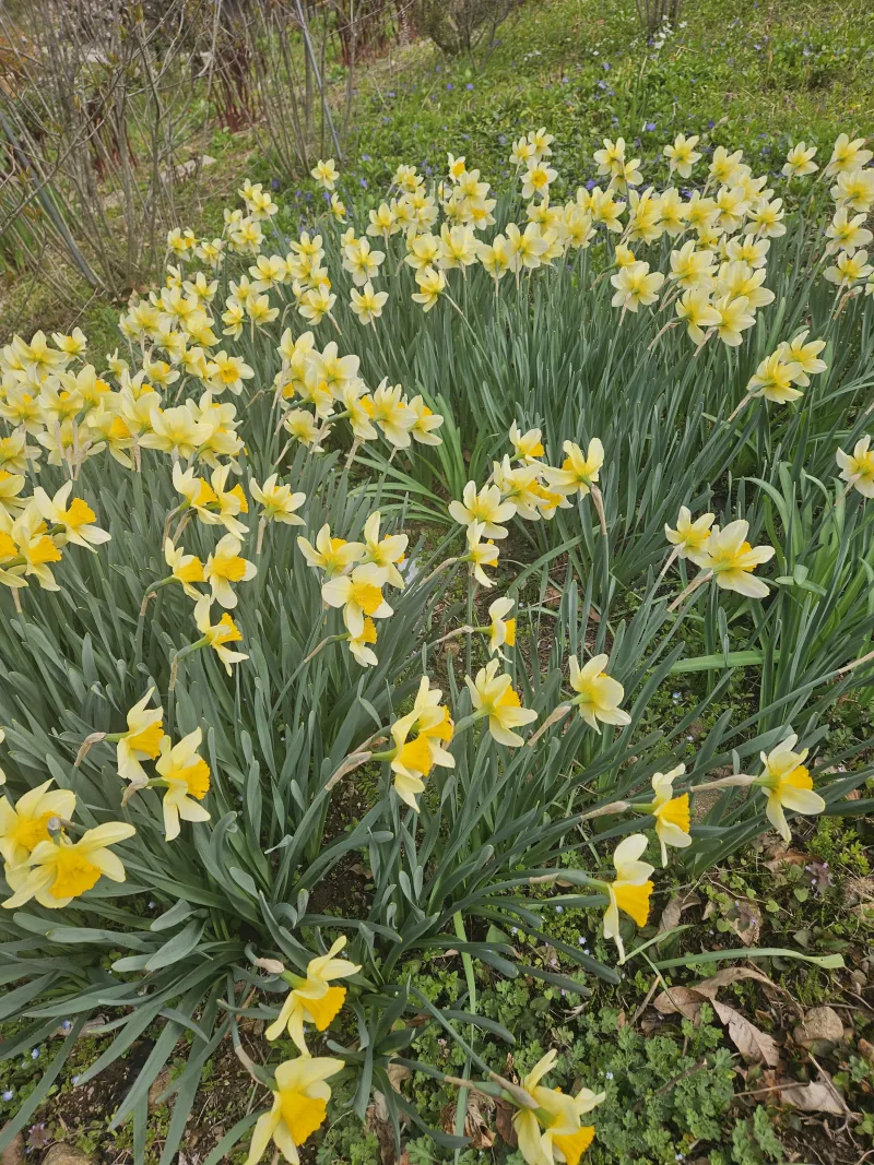 [충남 청양] 산속의 독채 촌캉스 #애견가능#오서산#보령#숲세권 24