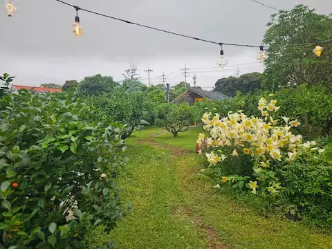 [Namwon, Seogwipo] 2-story detached house. Spacious yard. Ocean view. Jacuzzi. Three-room. BBQ. Foot volleyball. Pets 275