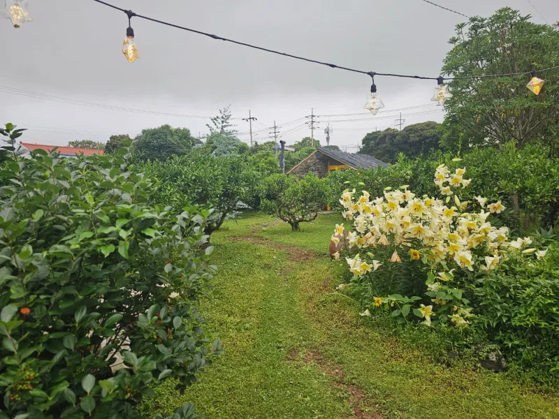 [Namwon, Seogwipo] 2-story detached house. Spacious yard. Ocean view. Jacuzzi. Three-room. BBQ. Foot volleyball. Pets 204