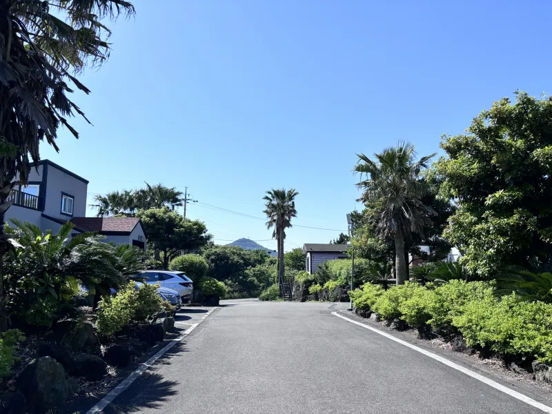 [Gujwa, Jeju] Bijarim Healing House No. 18 29