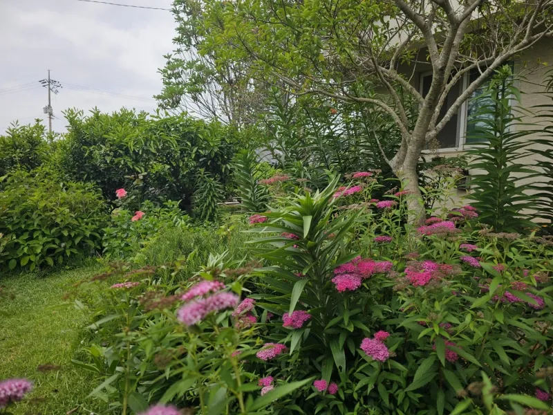 [Namwon, Seogwipo] 2-story detached house. Spacious yard. Ocean view. Jacuzzi. Three-room. BBQ. Foot volleyball. Pets 198
