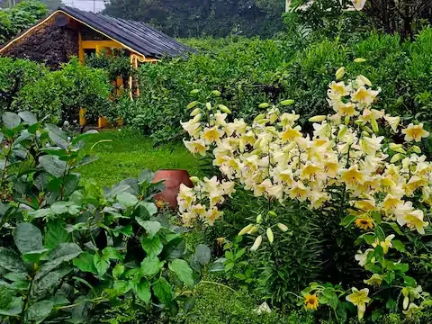 [Namwon, Seogwipo] 2-story detached house. Spacious yard. Ocean view. Jacuzzi. Three-room. BBQ. Foot volleyball. Pets 118