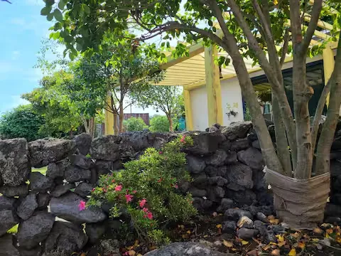 [Namwon, Seogwipo] 2-story detached house. Spacious yard. Ocean view. Jacuzzi. Three-room. BBQ. Foot volleyball. Pets 160