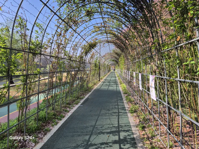 [서울 서초] 강남양재공원에서 횔링체험 하기~ 21