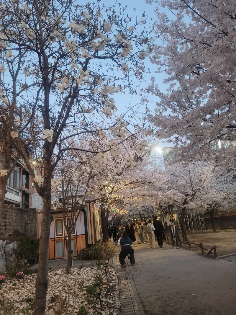 [Mapo, Seoul] Two-room B101 near Sinchon Station and Sogang University Station 17