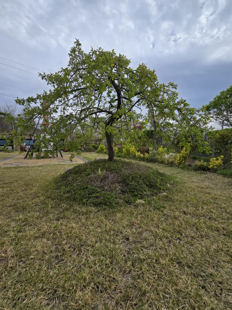 [Gyeongju] Bulguksa Hwangtobang House 16