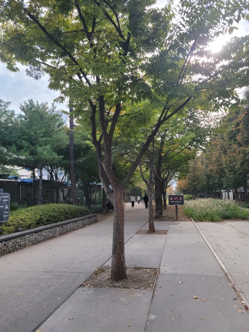 [서울 마포] 홍대역 신촌역 가까운 쾌적한 1.5룸 B102 26