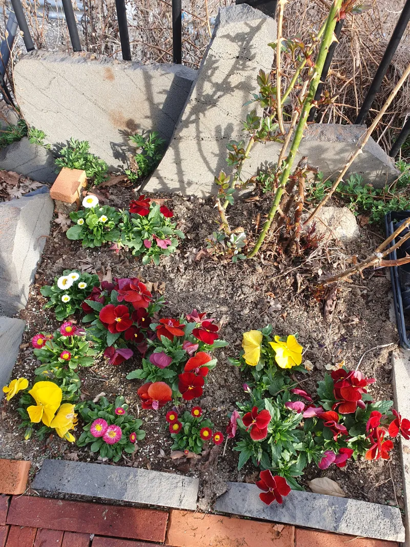 [Hongcheon] 1 hour from Seoul / 5-10 minutes from Ocean World and Vivaldi Park / Detached house 23