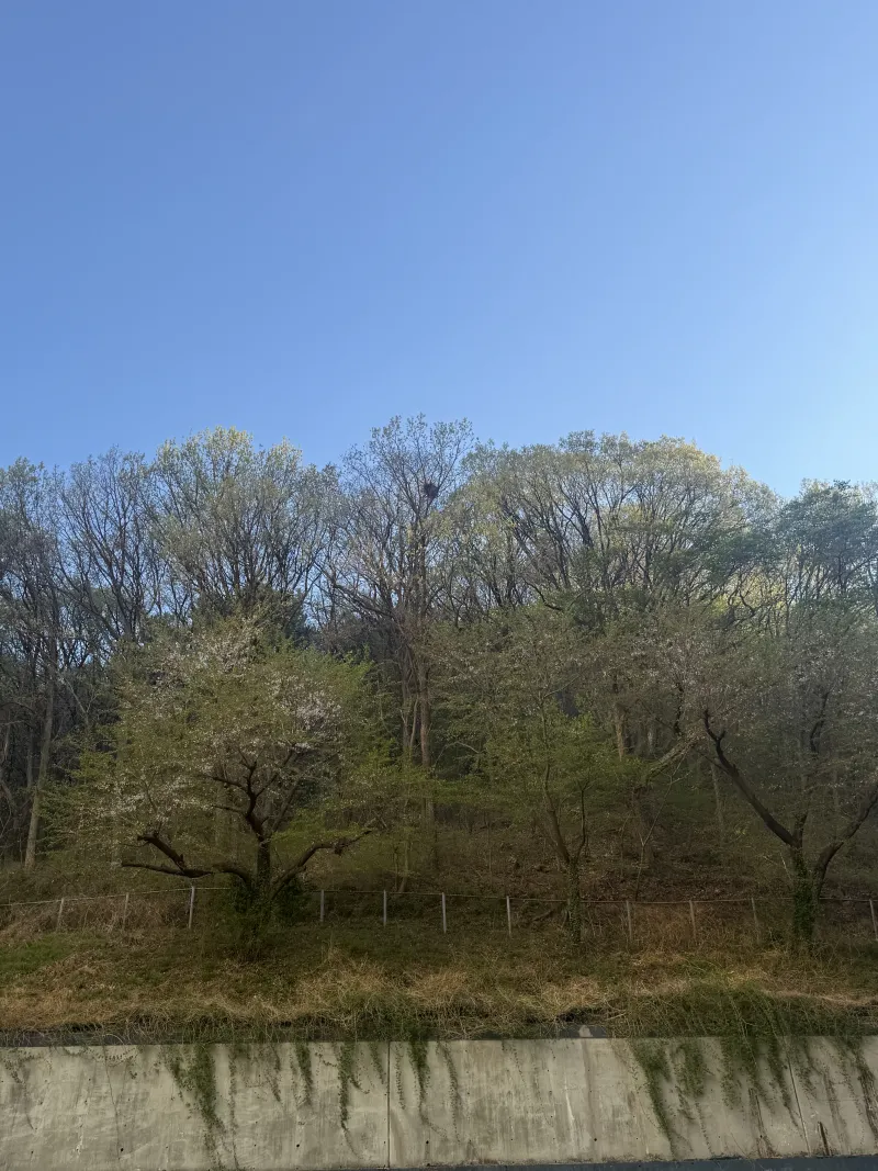 [Suyeong, Busan] Close to Gwangalli and Haeundae 20