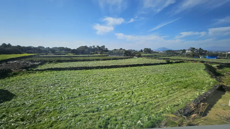 [Gujwa, Jeju] A detached house with a beautiful view of the sea, stone walls, and fields, 30 seconds from the entrance to the complex. 106