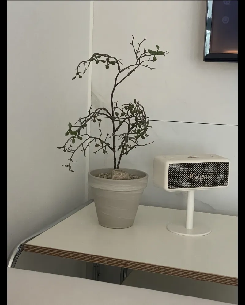 [Cheonan] Cheonan Sinbuldang New Officetel, Best Infrastructure!!!! :) 5